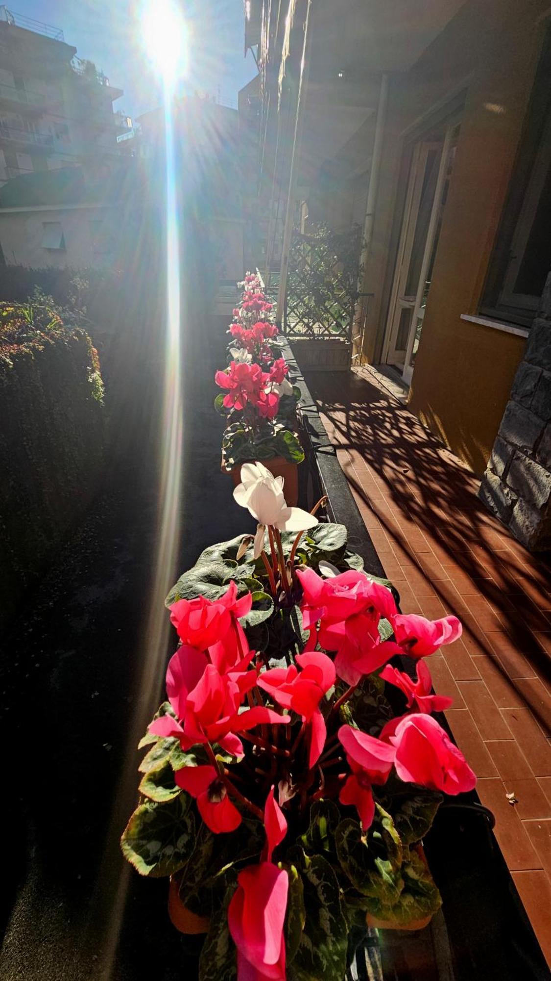 Casa Con Giardino Vicino Al Mare Leilighet Rapallo Eksteriør bilde